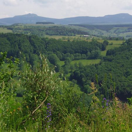 Espace Nature Sabatoux Montusclat Kamer foto