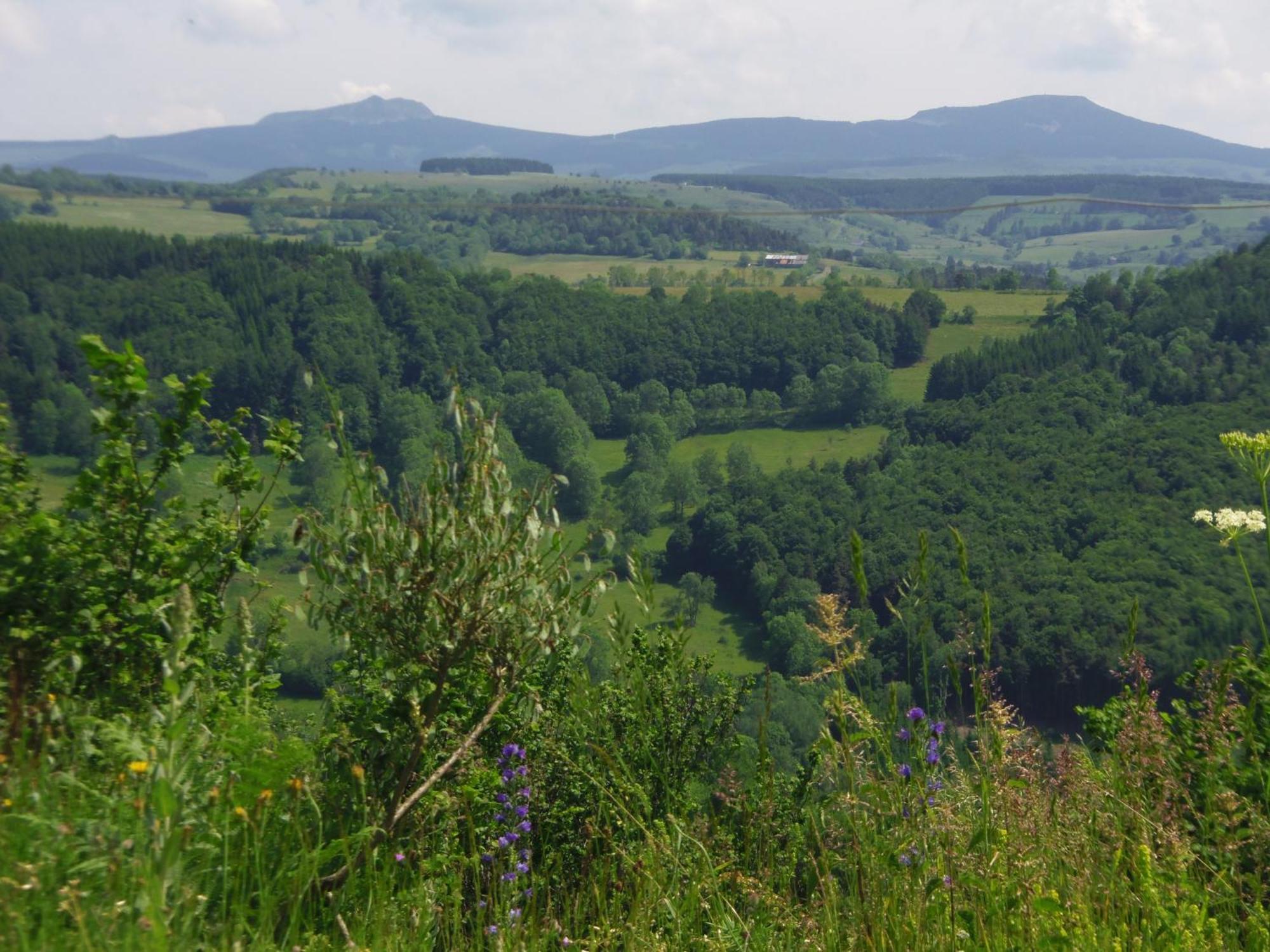 Espace Nature Sabatoux Montusclat Kamer foto